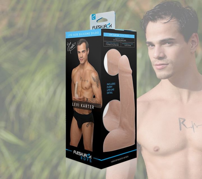 Fleshlight Levi Karter Male Pornstar Replicas | VCFARK825