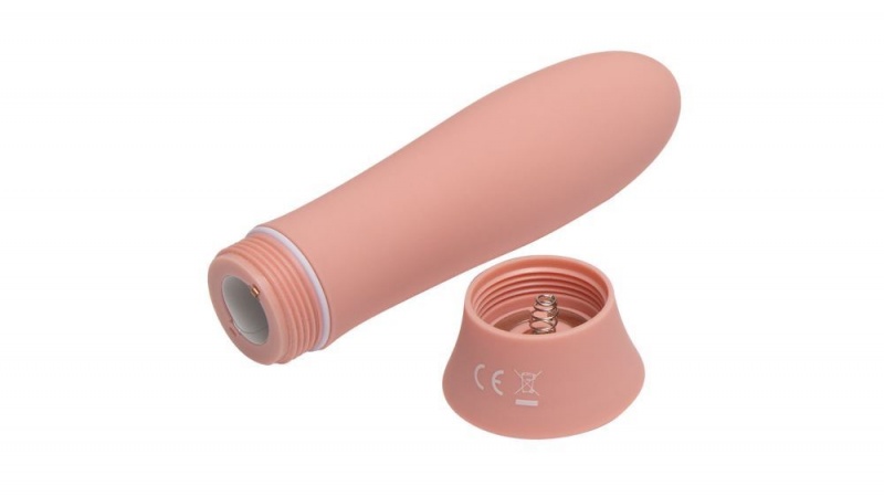 Fleshlight Poppy Bloom Bullet Vibrators | TKBYGL971