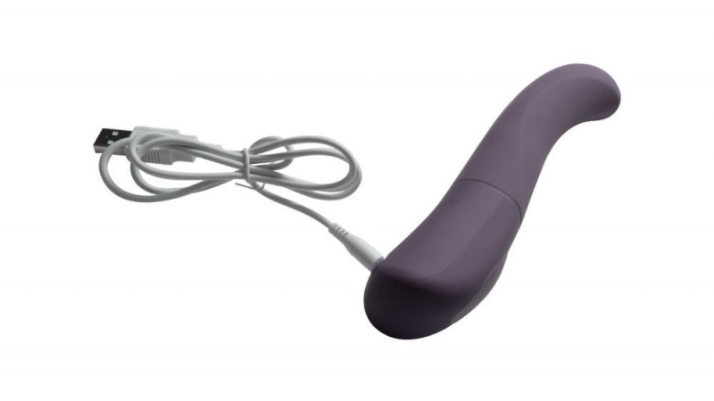 Fleshlight Tulip Bloom G-spot Wand Vibrators | CTXKZA164